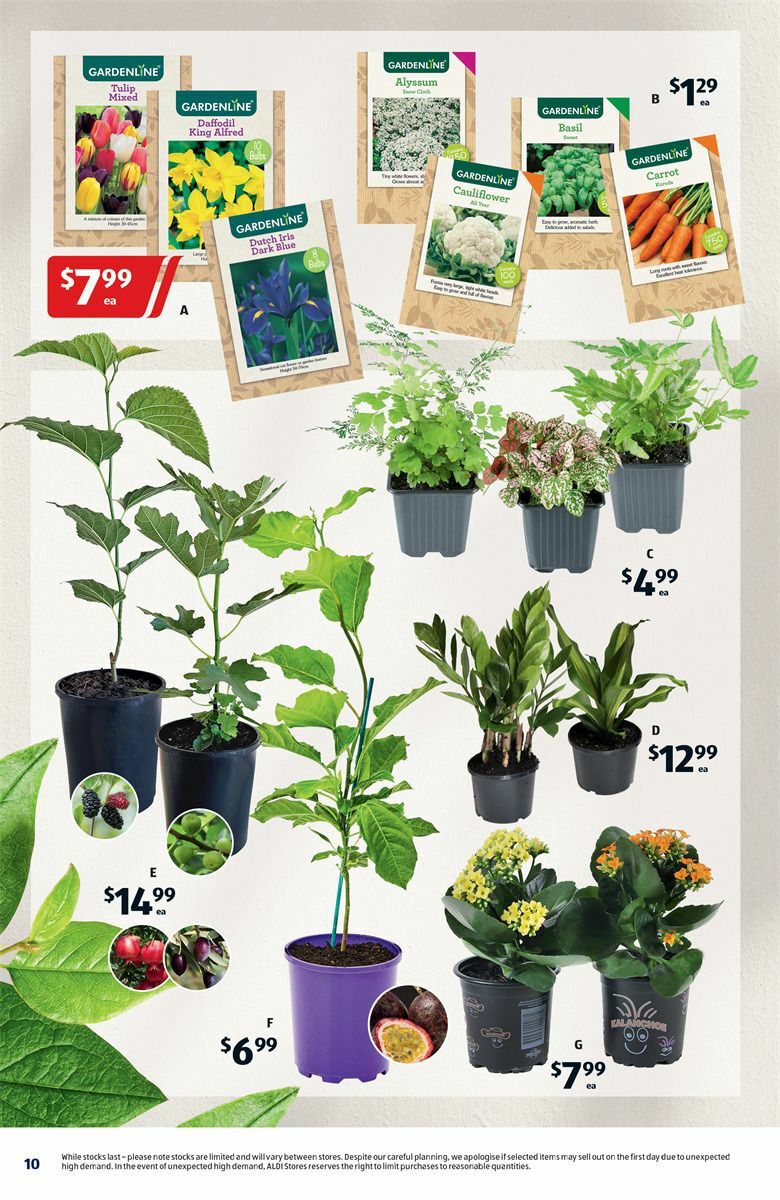 ALDI Catalogues from 13 March