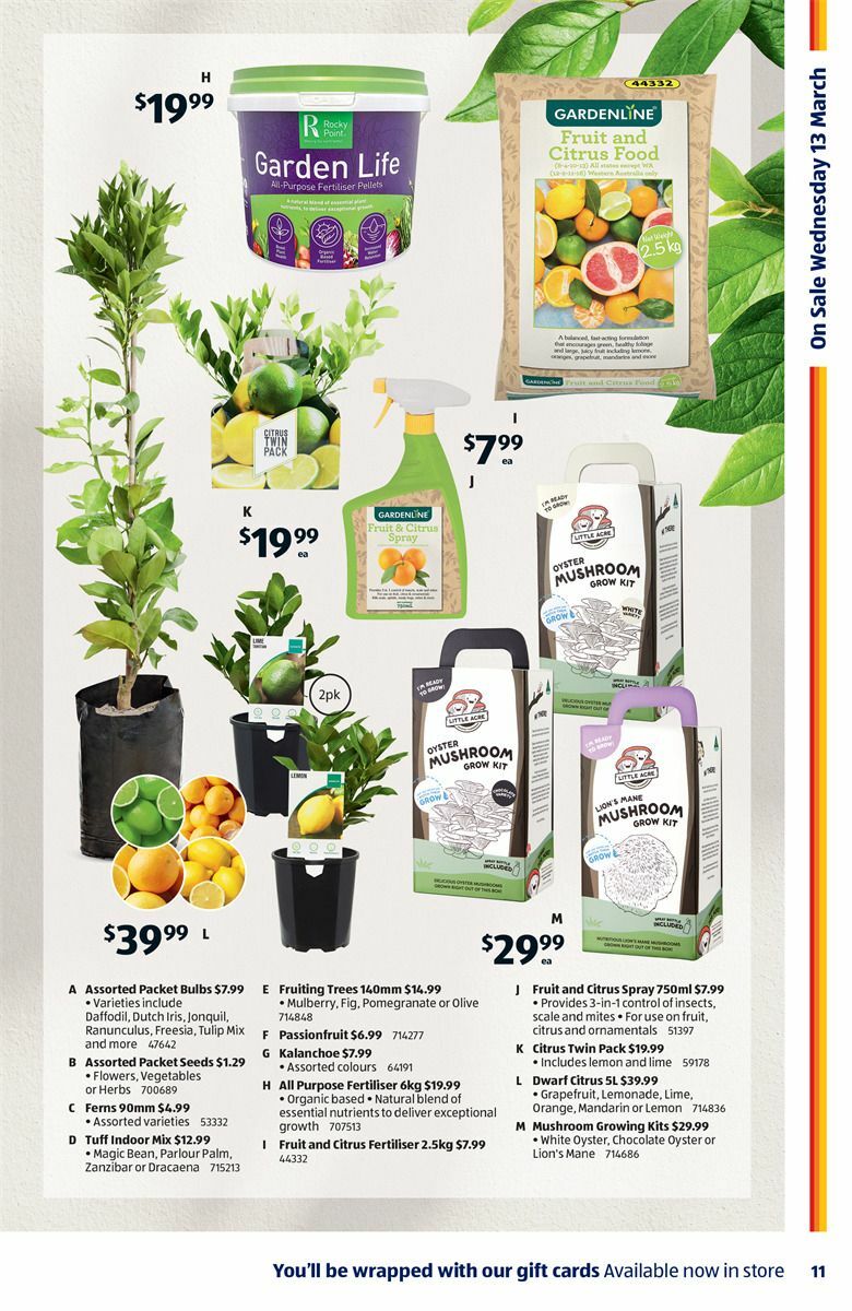 ALDI Catalogues from 13 March