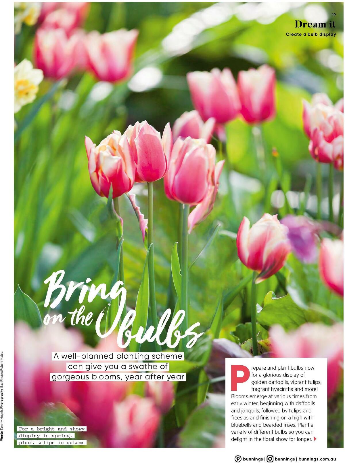 Bunnings Warehouse Catalogues from 1 March