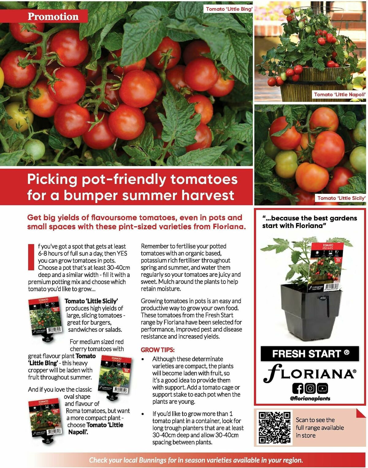 Bunnings Warehouse Magazine October Catalogues from 1 October