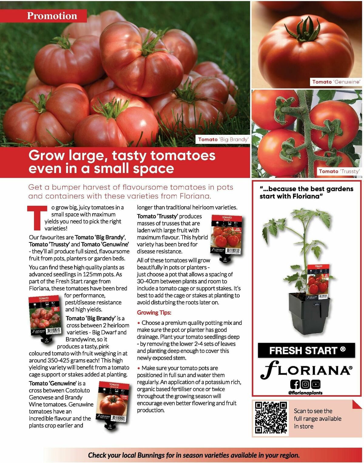 Bunnings Warehouse Magazine October Catalogues from 1 October