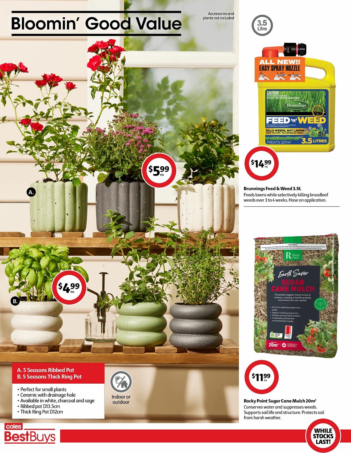 Coles Best Buys - Summer Garden Catalogues from 12 January