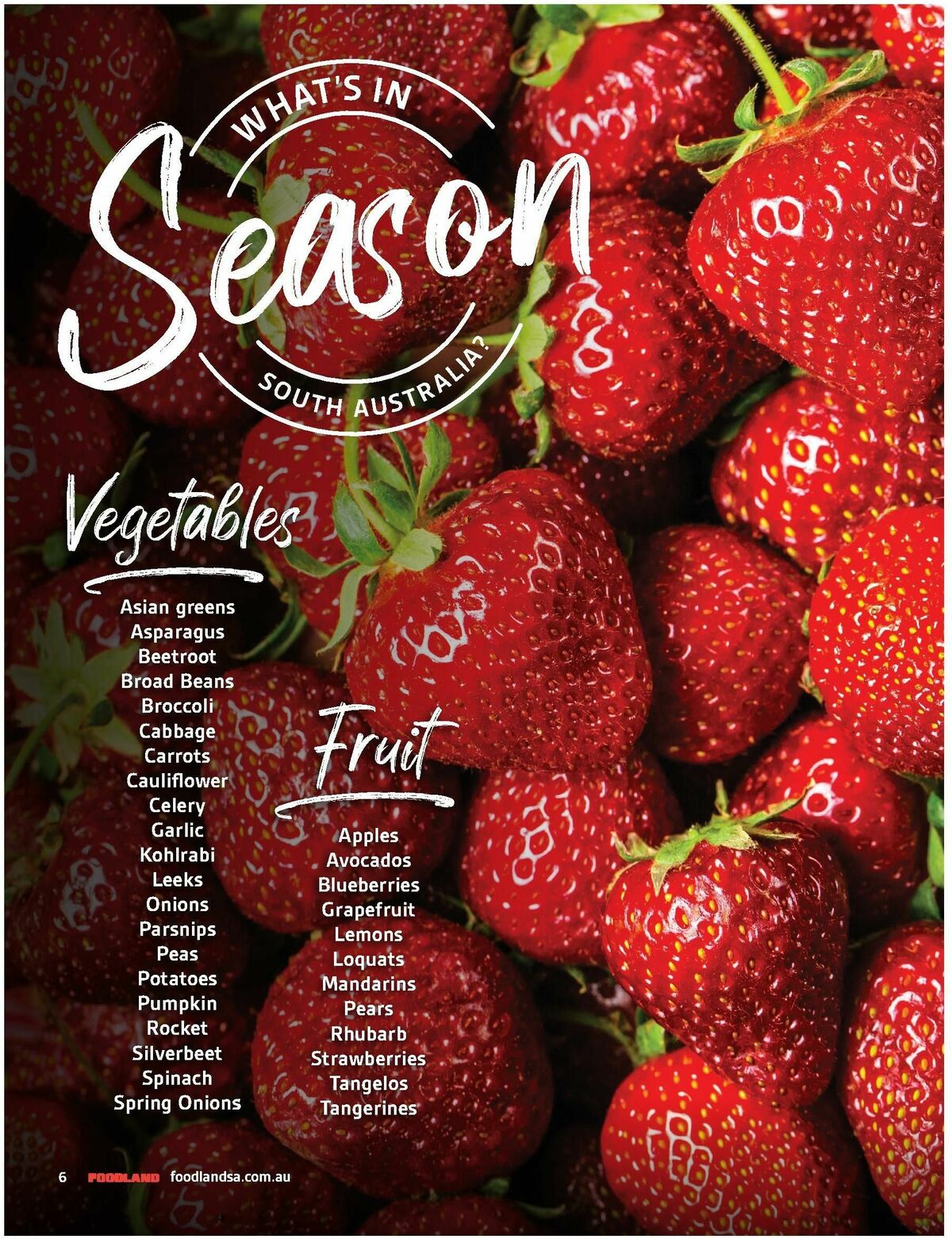 Foodland Magazine Spring Catalogues from 1 September