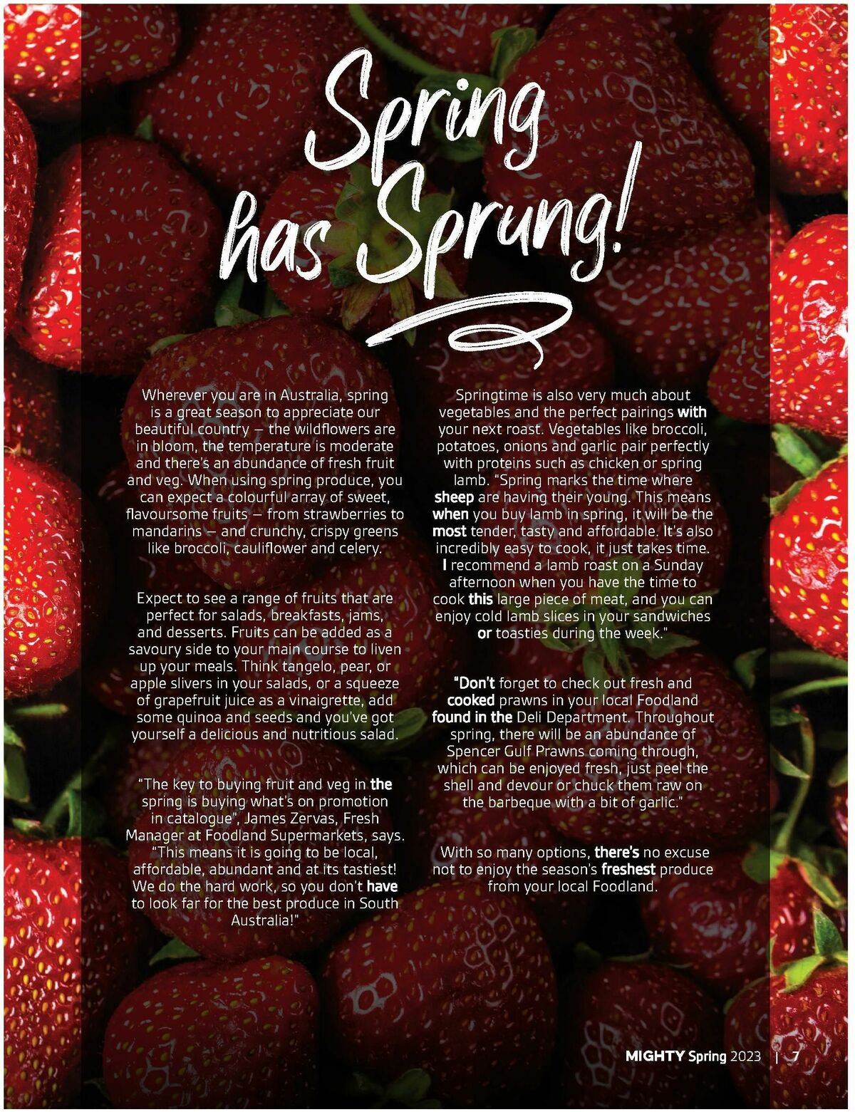 Foodland Magazine Spring Catalogues from 1 September