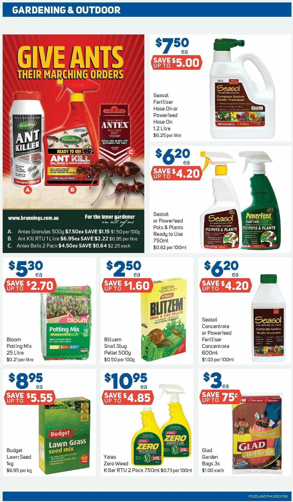 Foodland Catalogues from 1 November