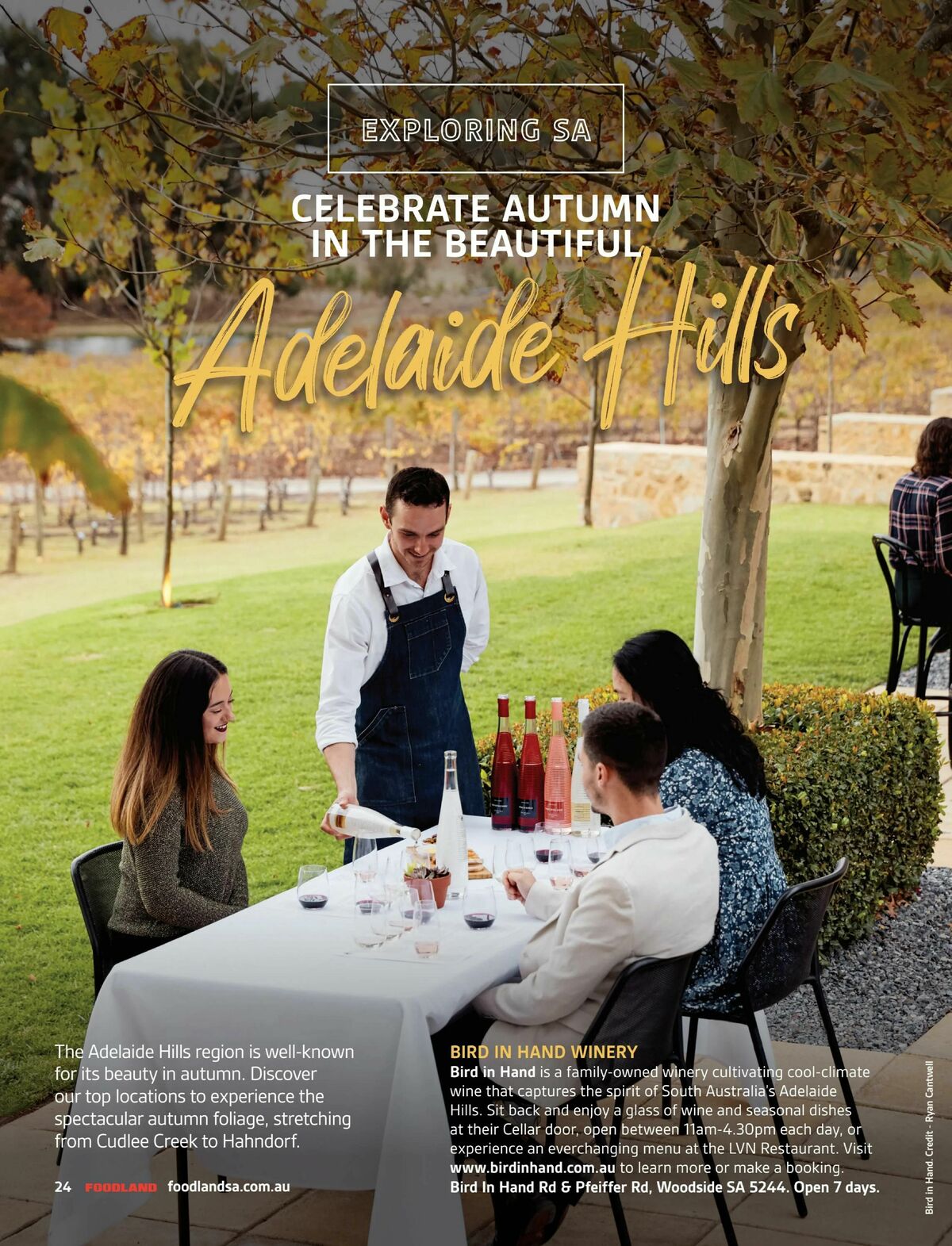 Foodland Magazine Autumn Catalogues from 1 March