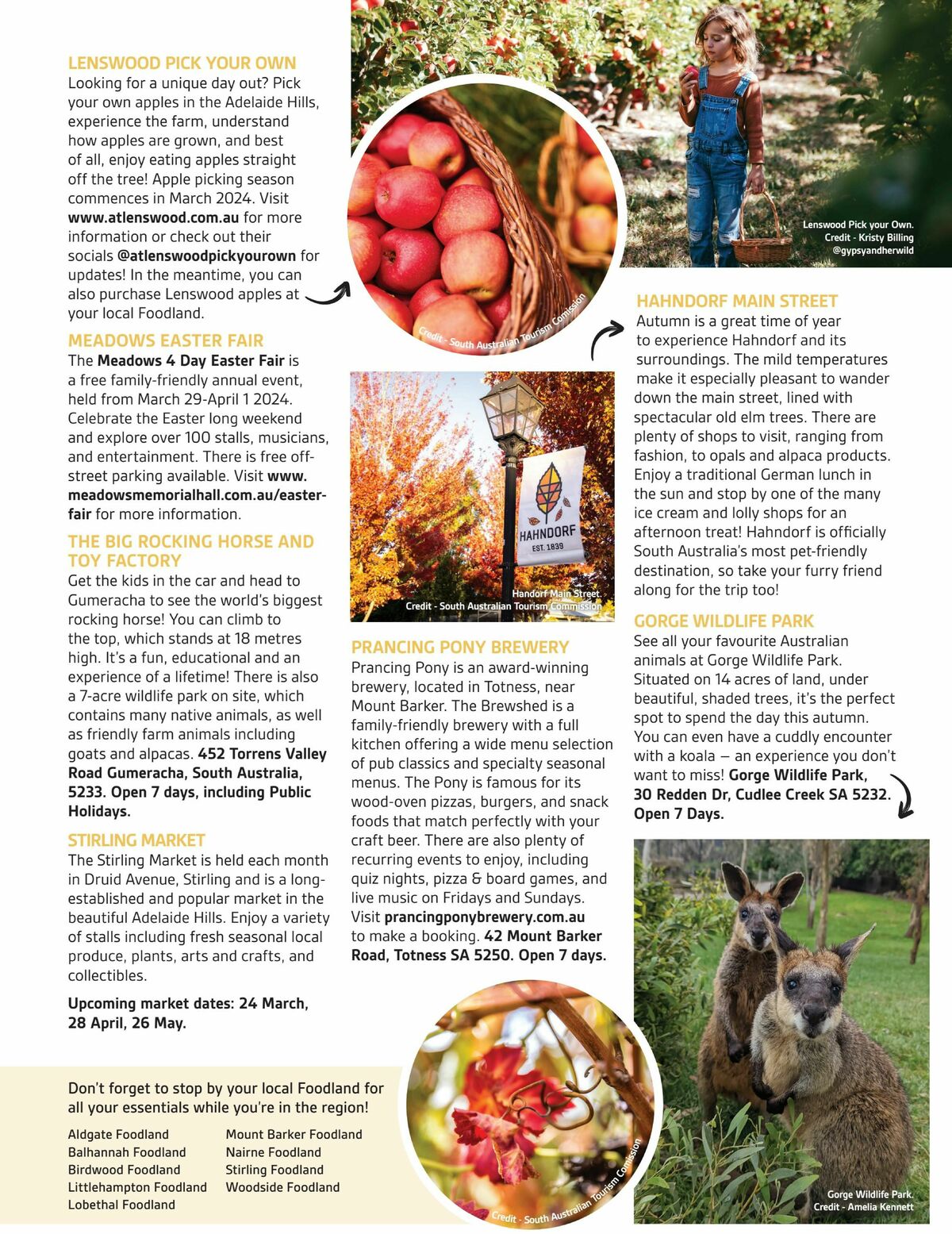 Foodland Magazine Autumn Catalogues from 1 March