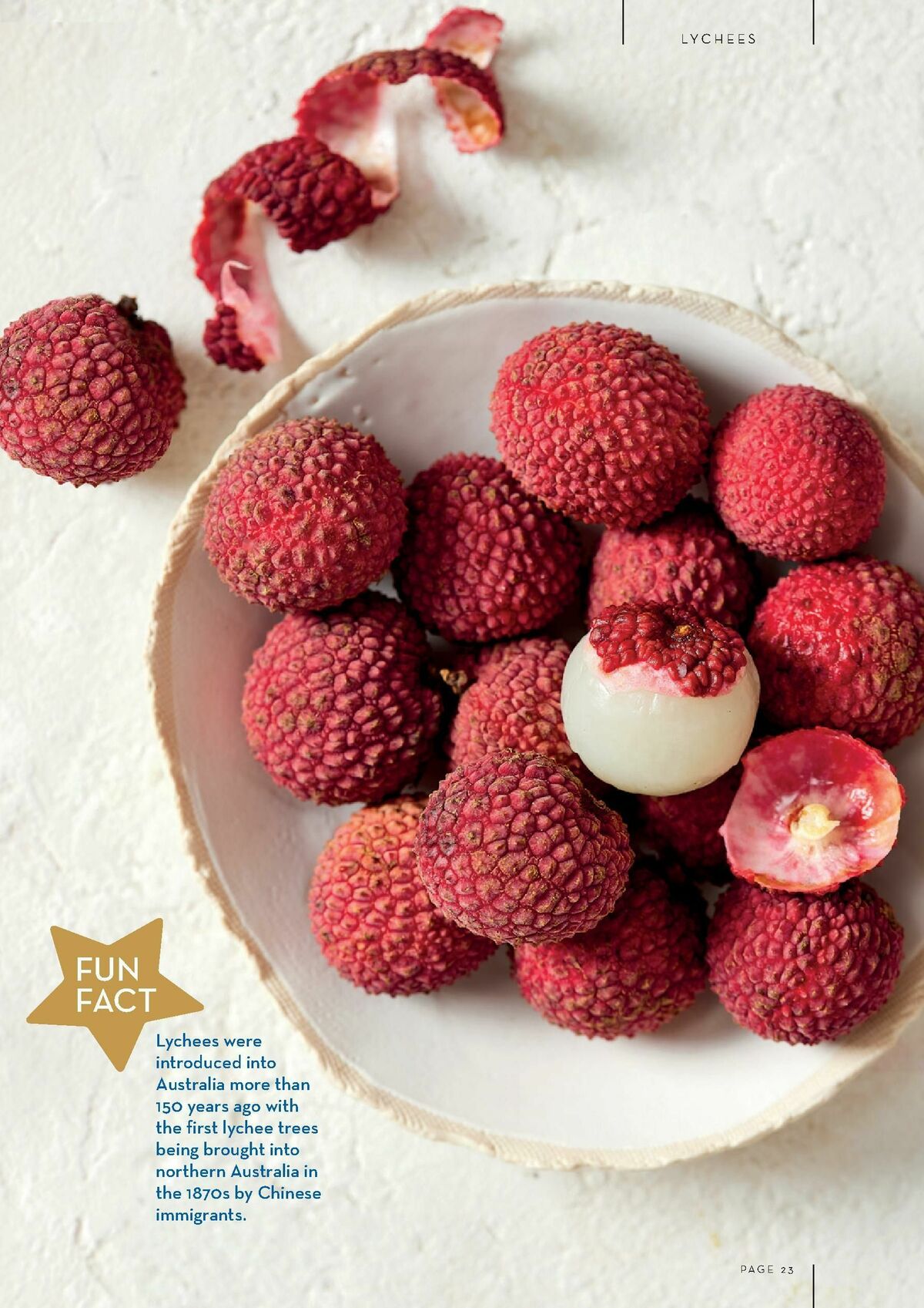 FoodWorks Magazine December Catalogues from 5 December