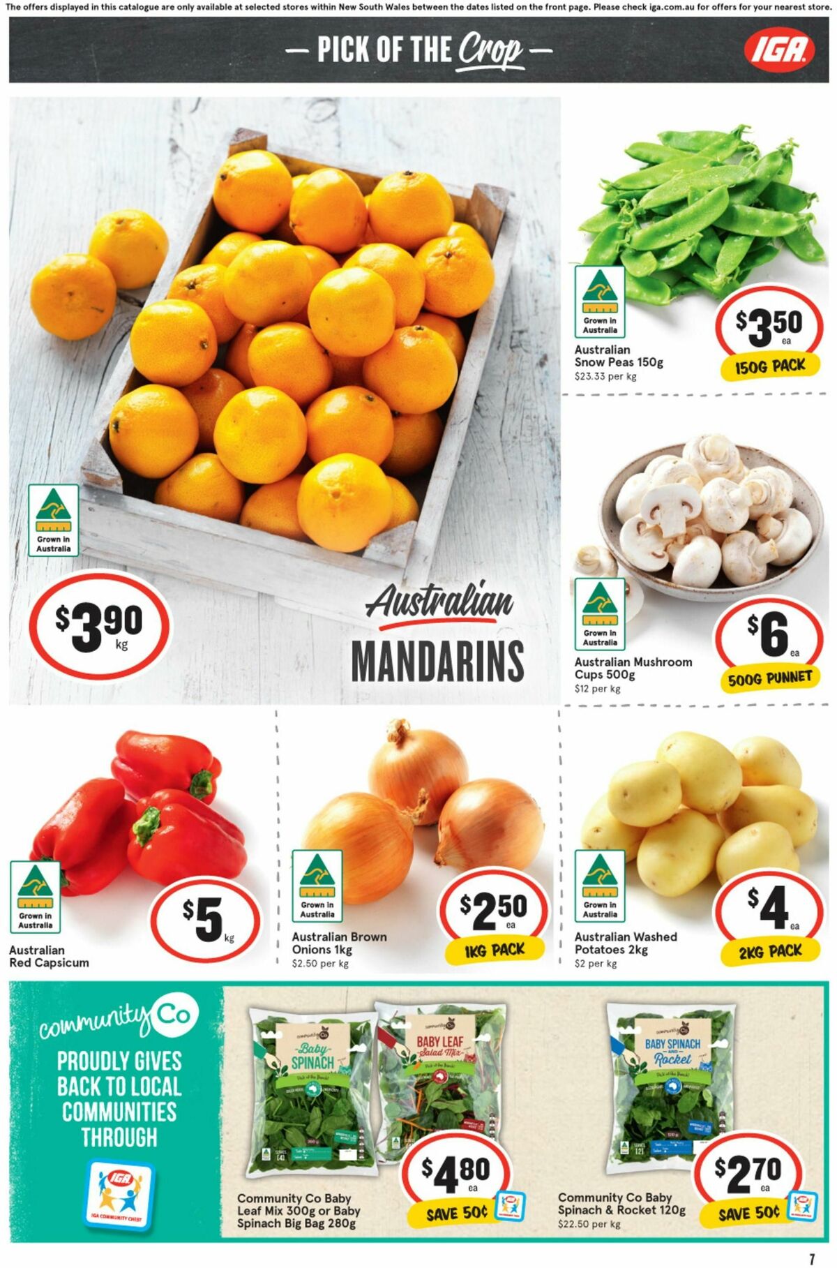 IGA Catalogues from 24 July