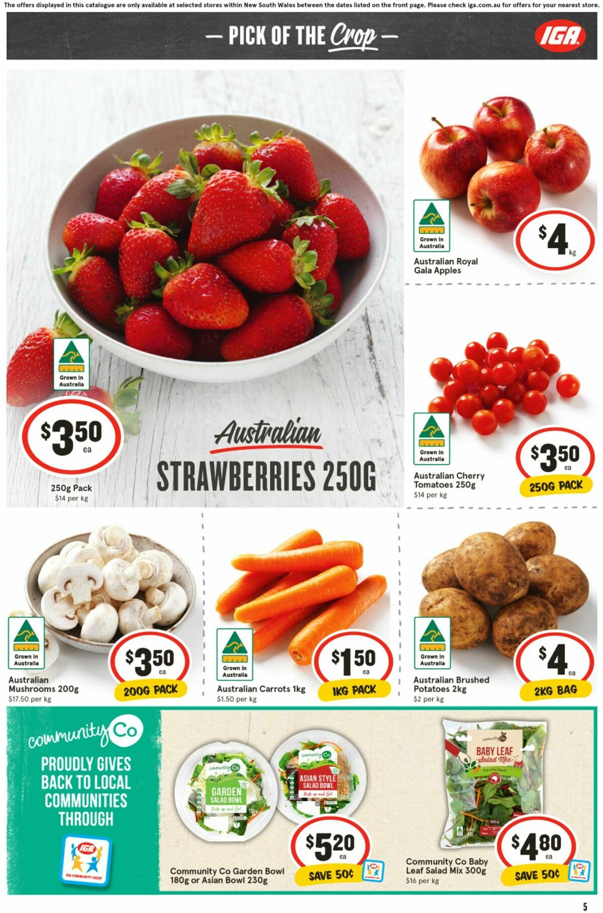 IGA Catalogues from 21 August