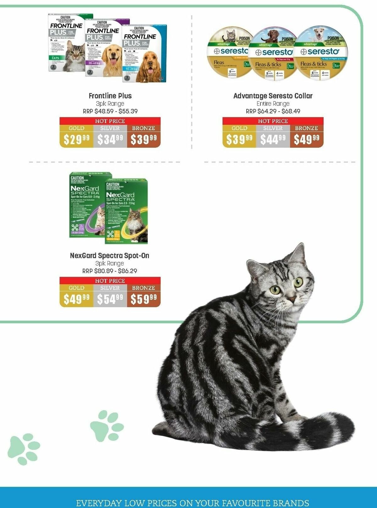 Pets Domain Catalogues from 31 January