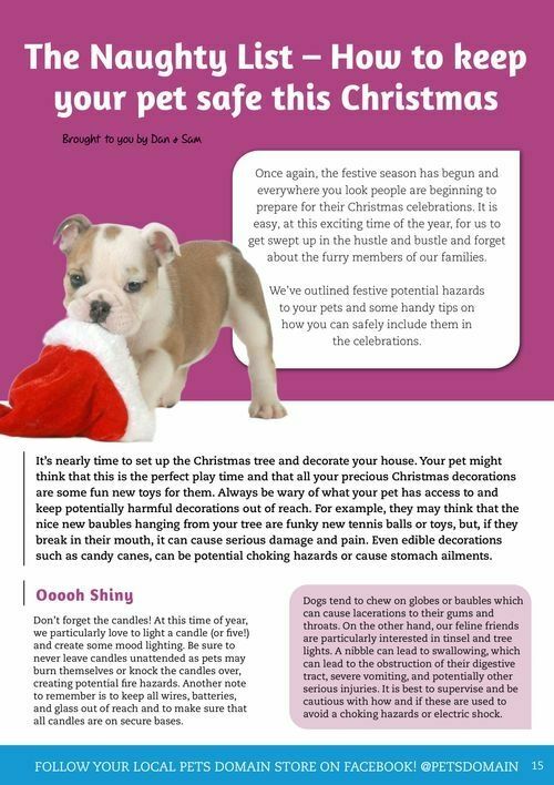 Pets Domain Seasonal Magazine Catalogues from 15 October