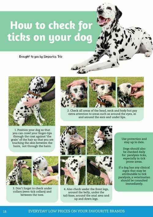 Pets Domain Seasonal Magazine Catalogues from 15 October