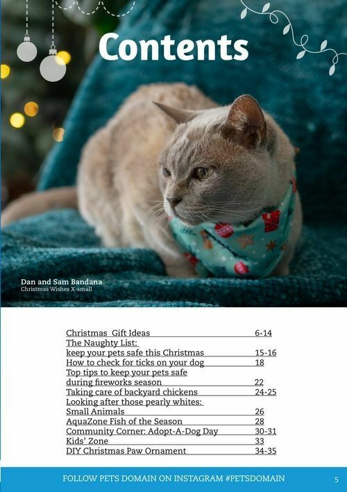 Pets Domain Seasonal Magazine Catalogues from 15 October