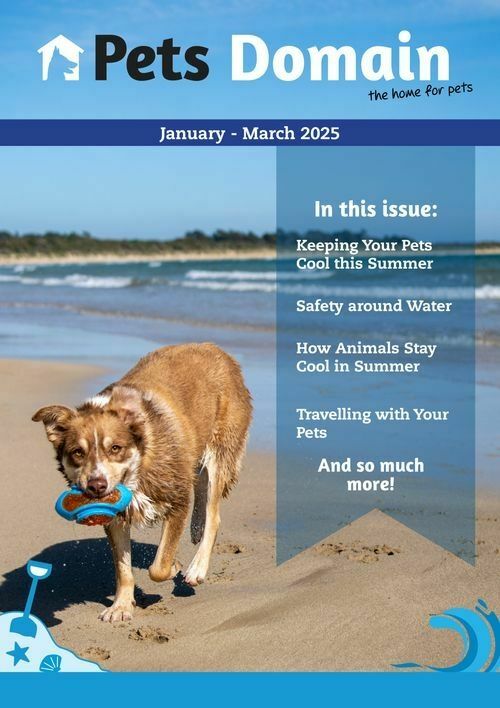 Pets Domain Seasonal Magazine Catalogues from 6 January