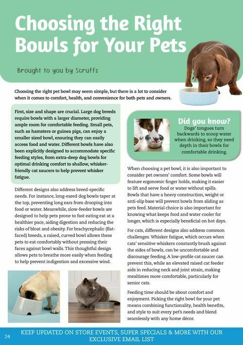 Pets Domain Seasonal Magazine Catalogues from 6 January