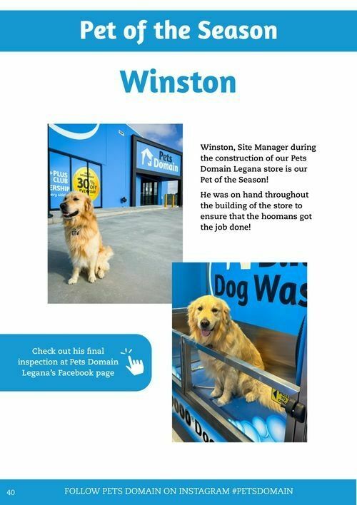 Pets Domain Seasonal Magazine Catalogues from 6 January