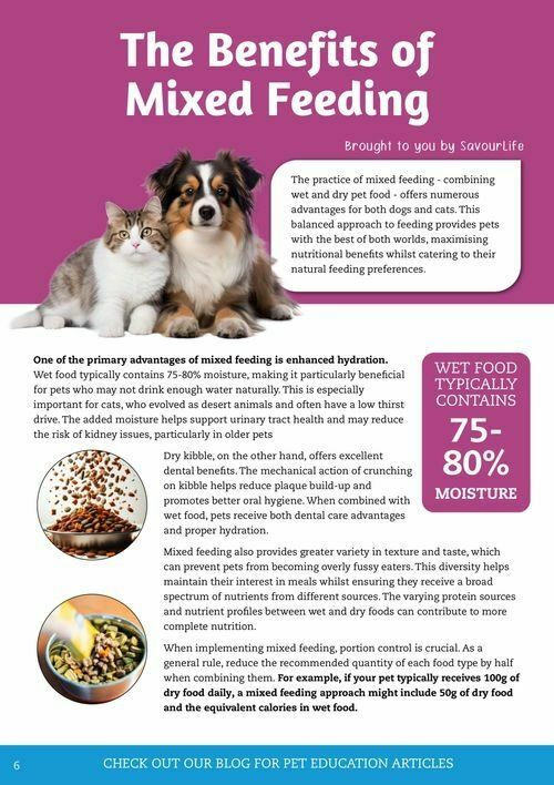 Pets Domain Seasonal Magazine Catalogues from 6 January