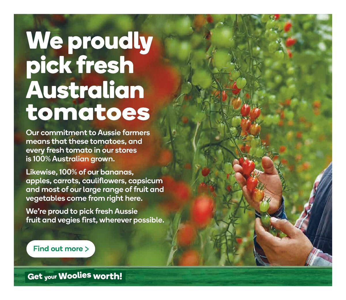 Woolworths Catalogues from 10 June