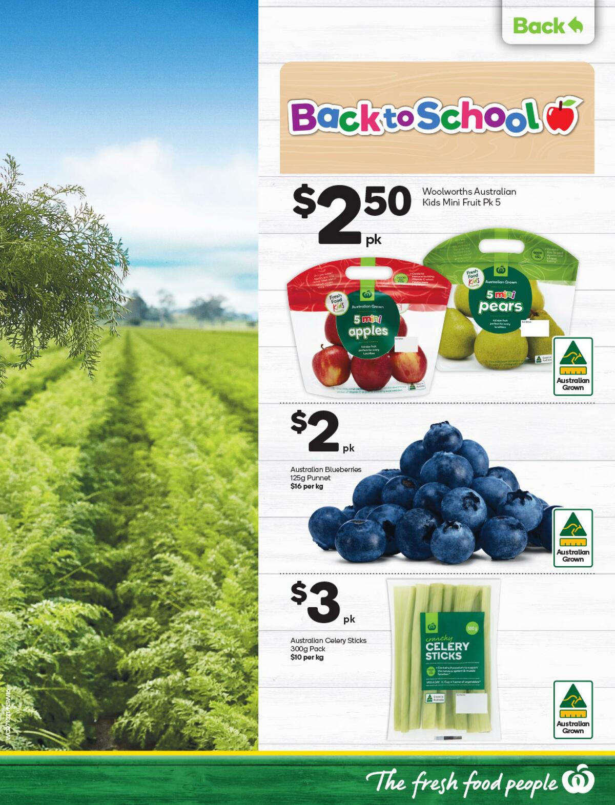 Woolworths Catalogues from 7 October