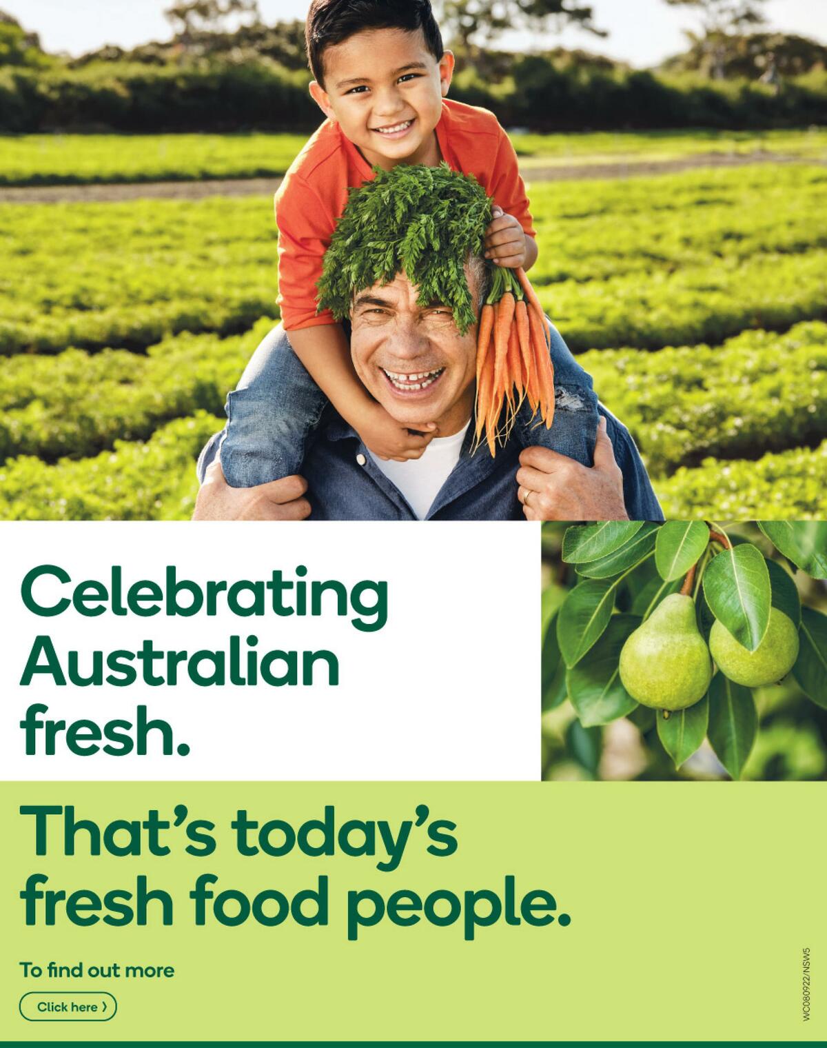 Woolworths Catalogues from 8 September