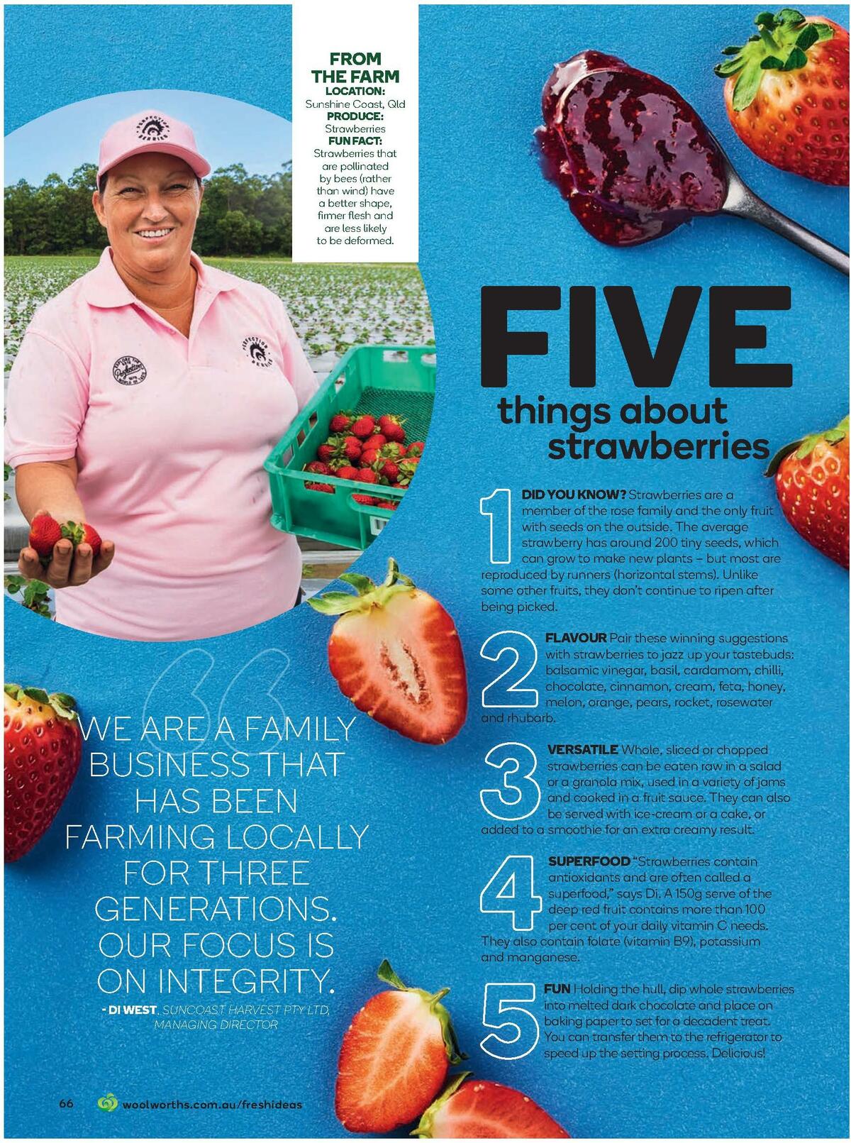 Woolworths Fresh Ideas Magazine August Catalogues from 1 August