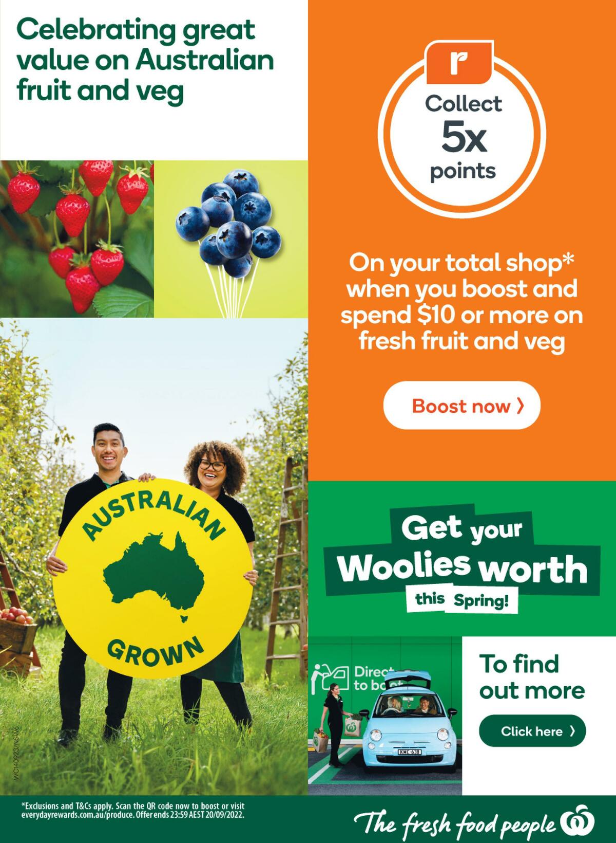 Woolworths Catalogues from 14 September