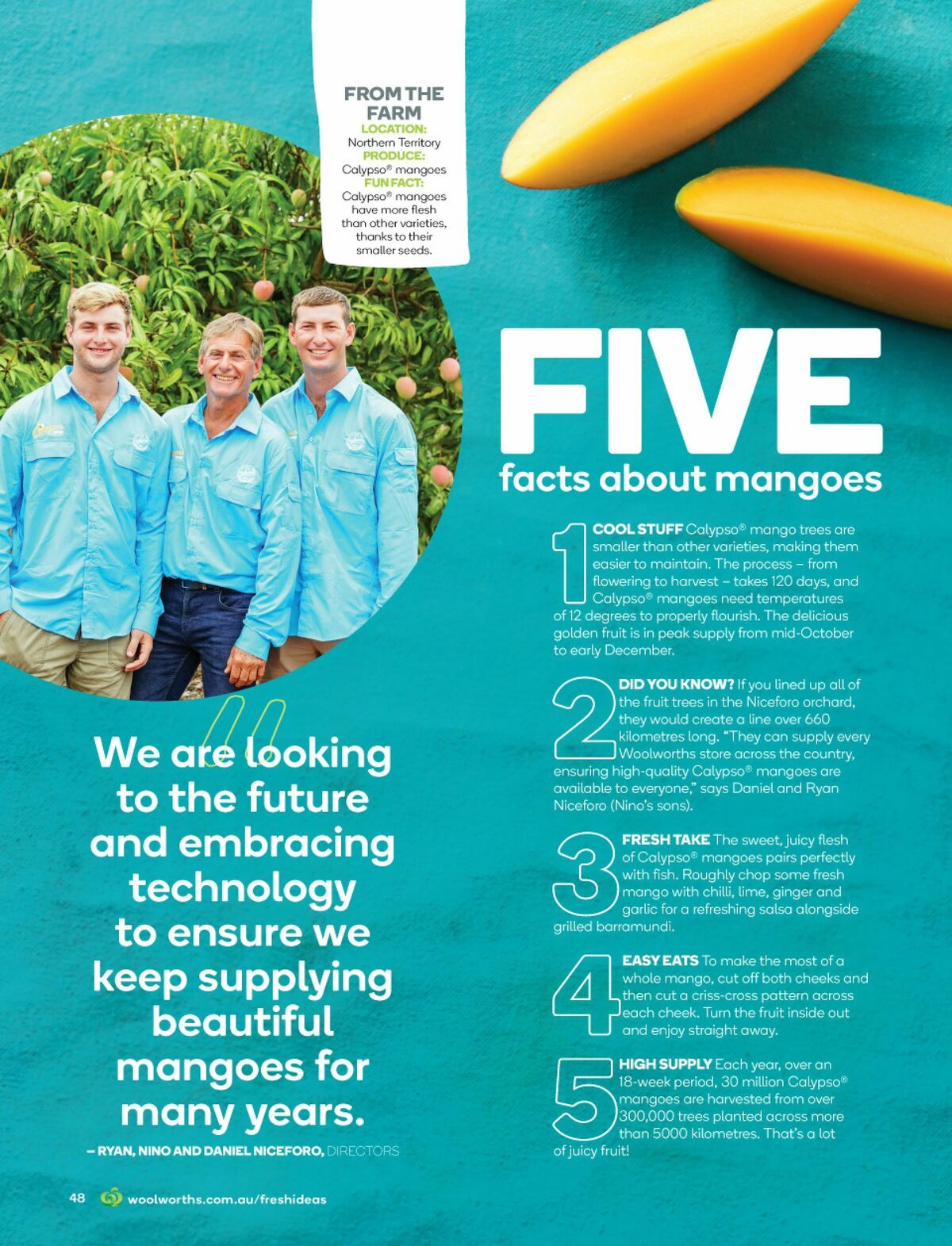 Woolworths Fresh Ideas Magazine November Catalogues from 1 November