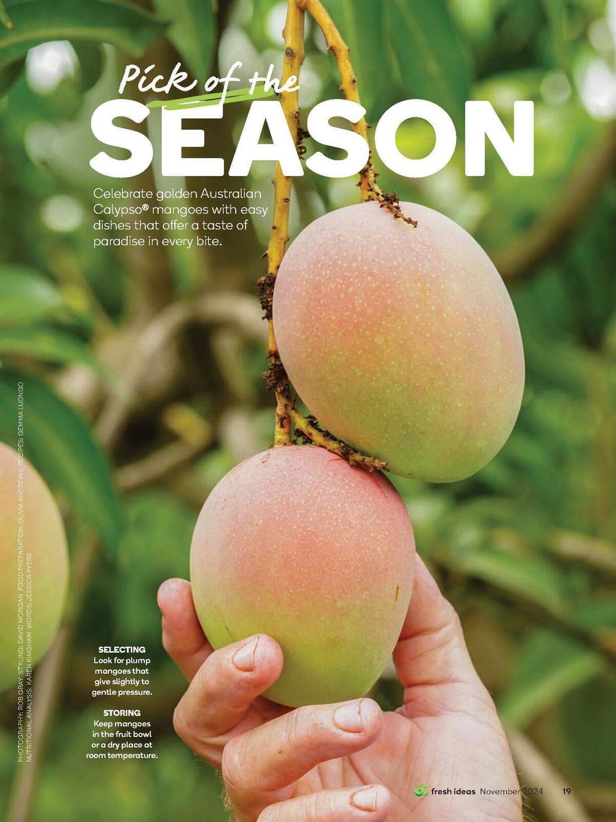 Woolworths Fresh Ideas Magazine November Catalogues from 1 November