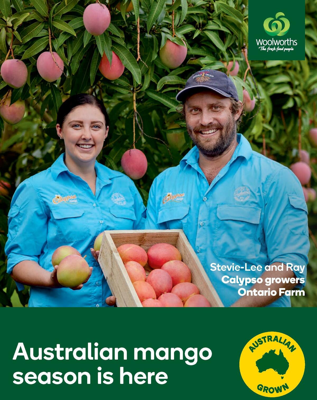 Woolworths Fresh Ideas Magazine November Catalogues from 1 November